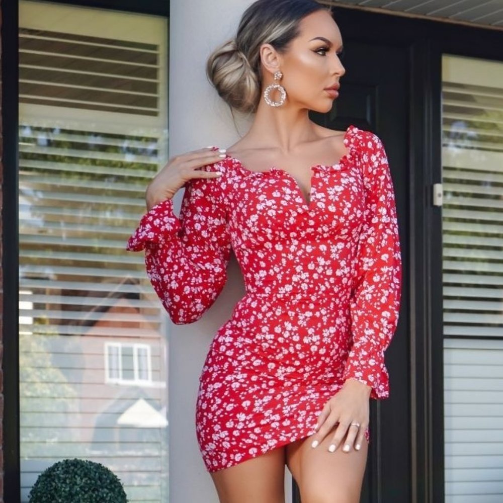 Floral Print Long Sleeve V-Neck Bodycon Mini Dress